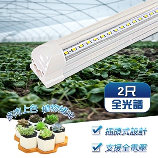 【现货 植物燈】LED植物燈 T8燈管植物燈 2呎12.5W 全光譜 植物生長燈(多肉/塊根/龍舌蘭/觀葉/鹿角蕨)