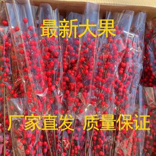發財果200支模擬花招財花發財果仿真花紅果冬青果幸運果花瓶插花落地擺件假花發財果模擬花招財花發財果仿真花紅果
