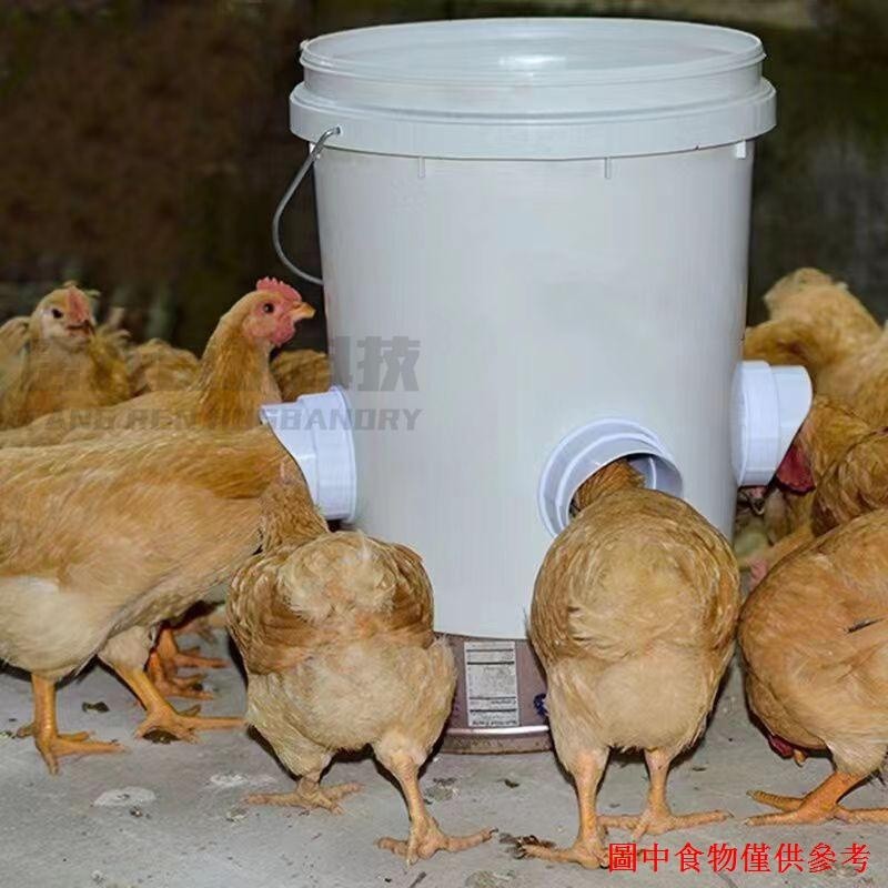 Pegasus~ 百貨🔥下殺家禽餵食器雞用自動喂料器重力桶用餵食器雞鴨鵝自動飲水碗水杯%正品