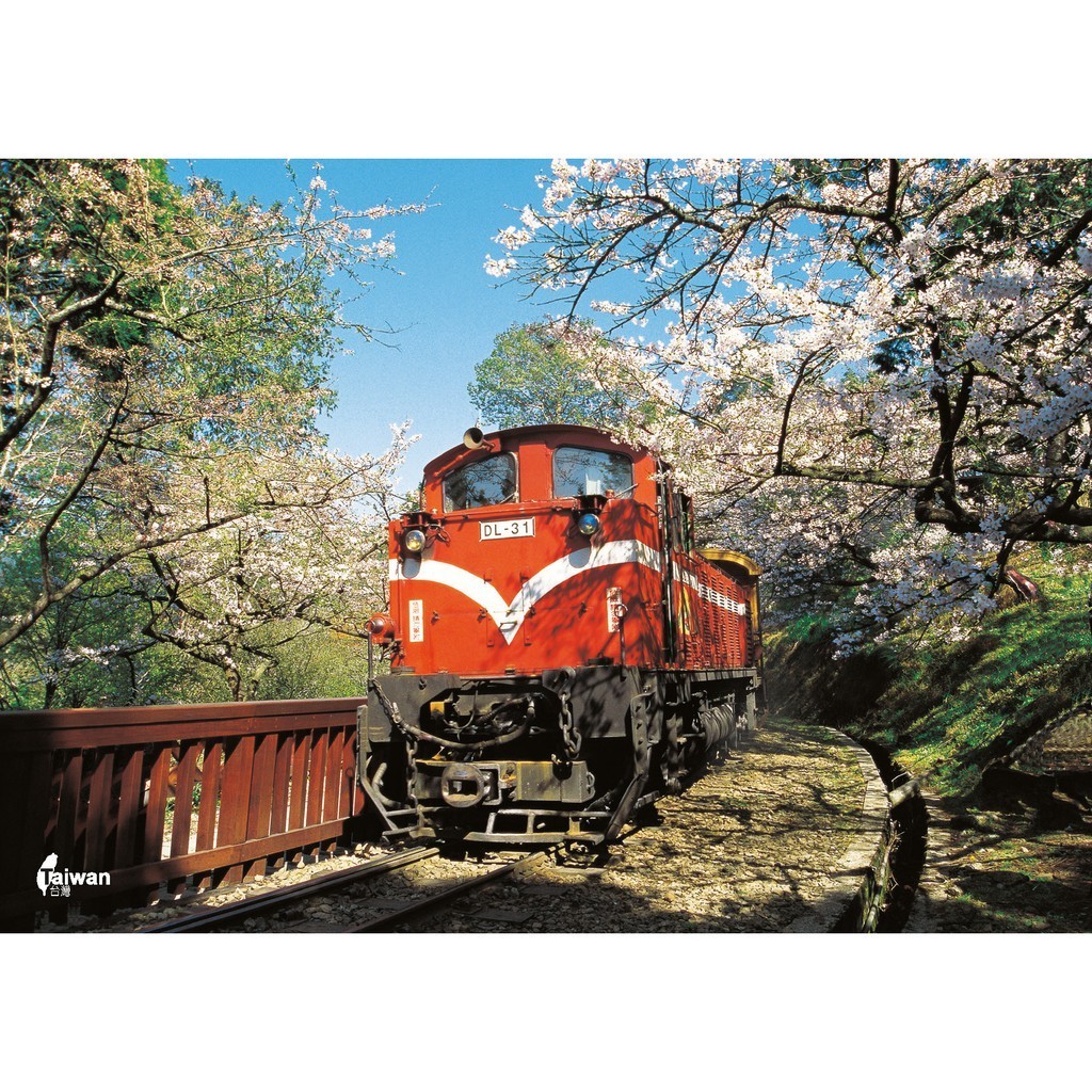 【人人】明信片 單張『阿里山森林鐵道．櫻花』  人人出版官方商城  A337