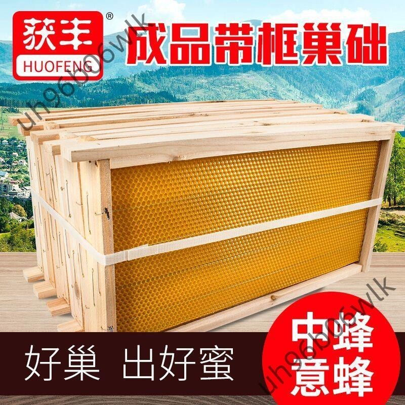 獲豐成品帶框巢礎標準箱批發價中蜂蜜蜂用具杉木意蜂脾巢框養蜂用