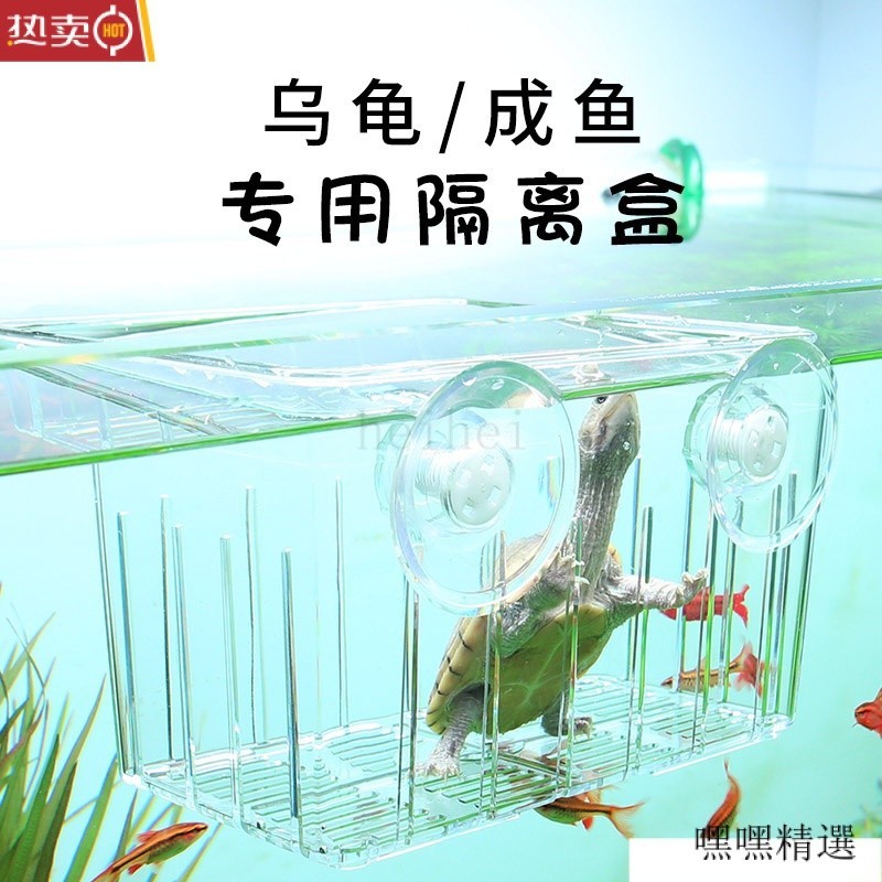 附發票 龜缸隔離盒 飼養盒 魚缸內置龜苗 烏龜髮色專用飼養 小龜黑色孵化繁殖透明分隔 烏龜盒 巴西龜 爬蟲 水龜盒