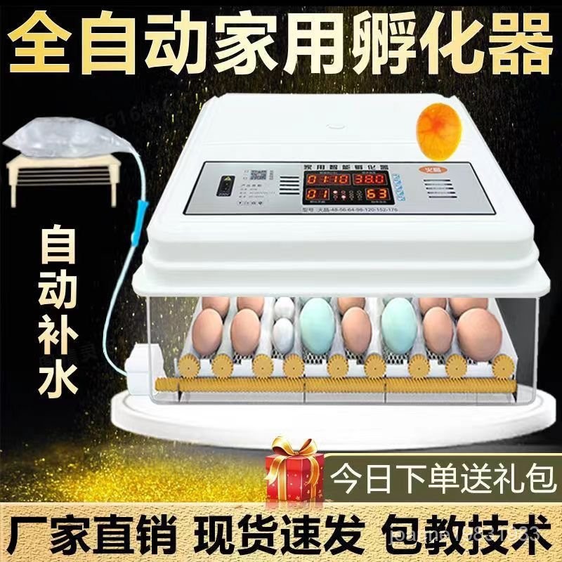 110V孵化機小型家用孵蛋器（帶溫度控制）智能雞鴨鵝鴿子孵化器 全自動小雞雞蛋孵化機 孵蛋器 孵化箱