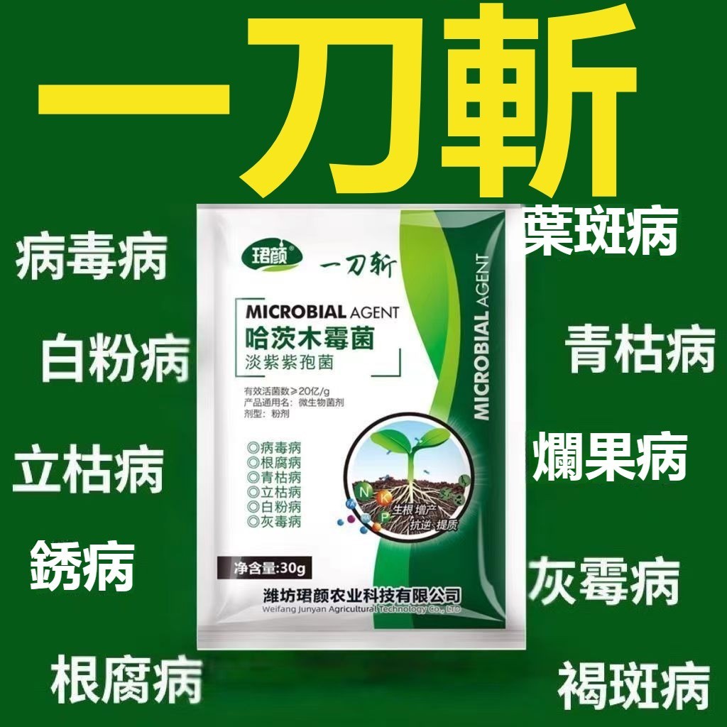 哈茨木 黴菌 正品 微生物菌劑 抗重茬 清紫袍地衣芽孢桿菌 菌素