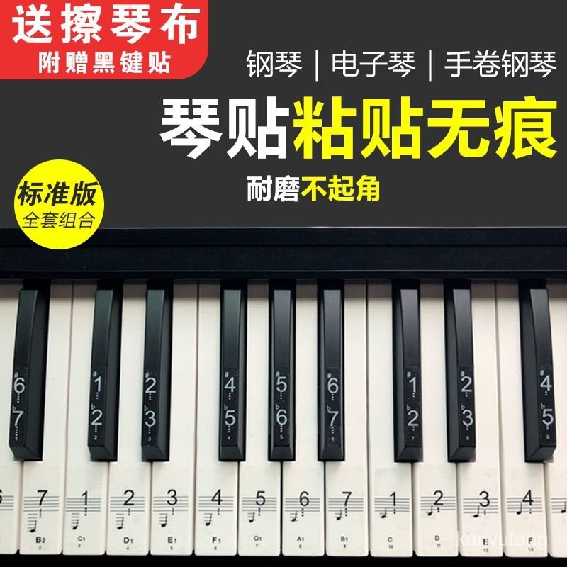 台灣熱賣透明88鍵鋼琴貼紙76鍵54鍵61鍵電子琴貼紙五綫譜簡譜音符按鍵貼49