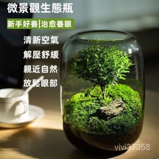 植物 盆栽 生命之樹 真植物 懶人苔蘚微景觀送禮 辦公室養魚盆栽 宿捨植物生態瓶 迷你生態瓶 植物盆栽 室內植物綠植盆栽