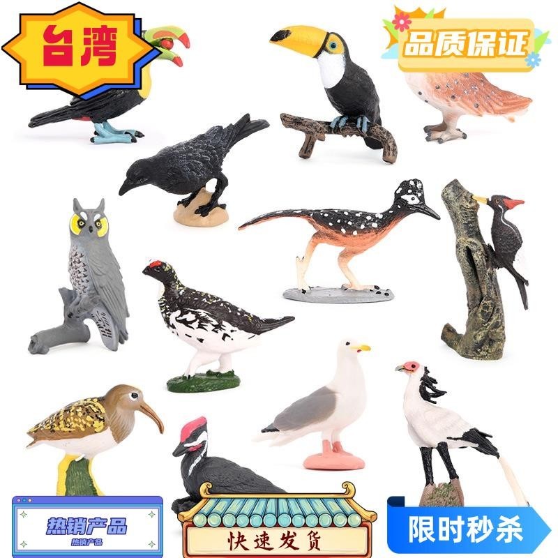 台灣熱賣 仿真野生飛鳥動物模型 巨嘴鳥貓頭鷹烏鴉雷鳥實心靜態擺件兒童認知玩具