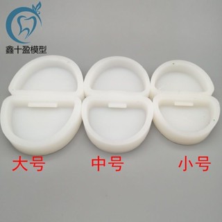 小百合模石膏模型底座 白色矽膠插口底座 石膏用矽膠託 印模材料 無舌模型展示模型