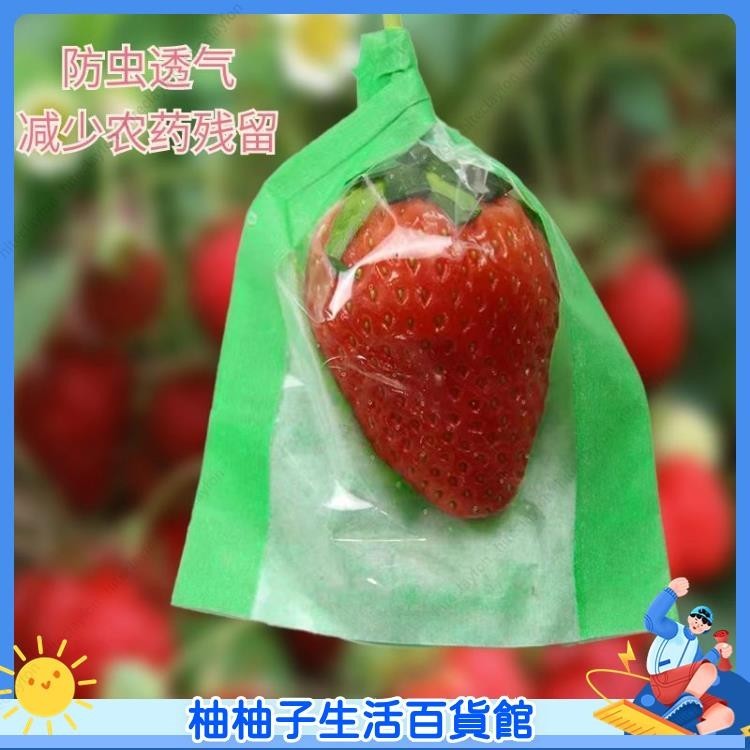 柚子 500個 草莓套袋 專用紙袋 觀光采摘袋 包裝袋 牛皮紙袋 防水 防霧膜 多功能型水果套袋01