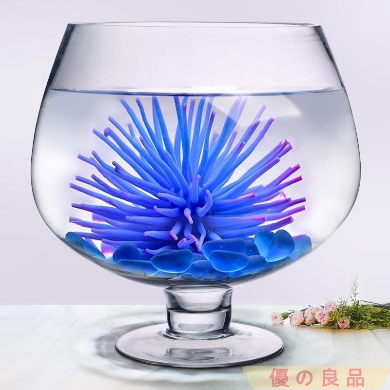 台灣出貨 魚缸造景 小型桌面魚缸玻璃透明客廳創意酒杯式圓形大酒杯迷你酒杯型