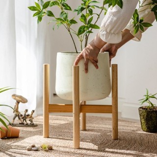 植物架 園藝花架 組裝花盆架 陽臺落地式室內 收納架 室內階梯式小花架實木花架落地北歐十字花架陽臺客廳花盆植物多肉盆栽架