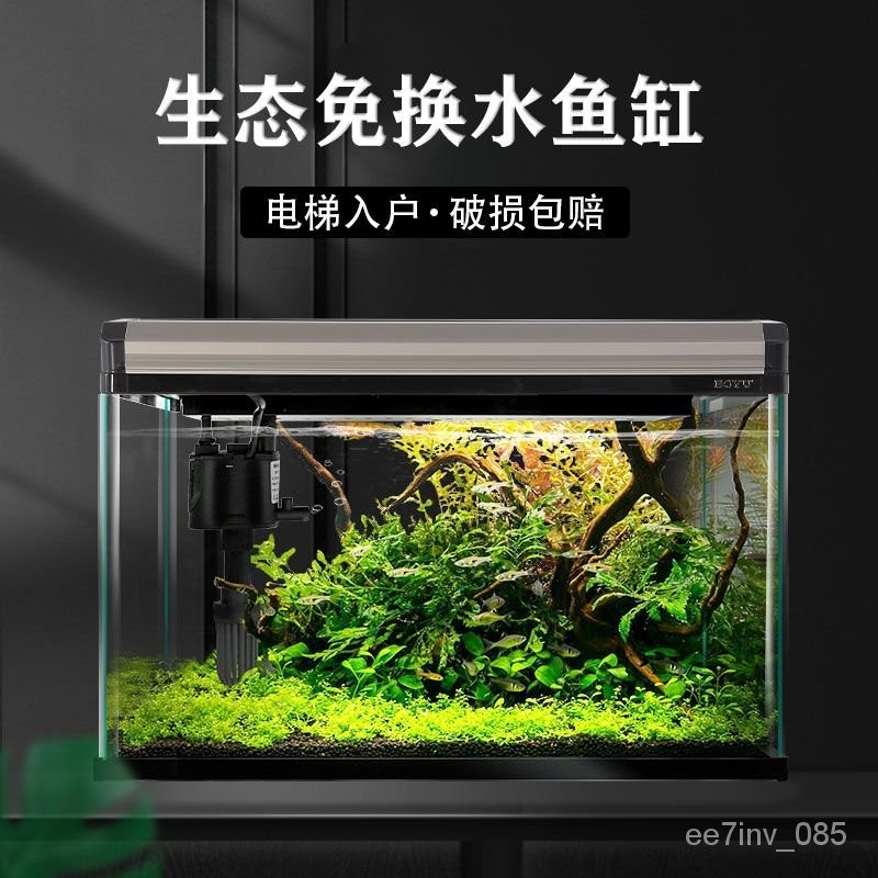 Bubble Shop🫧魚缸水族箱生態魚缸中大型觀賞玻璃魚缸客廳傢用免換水小型金魚缸