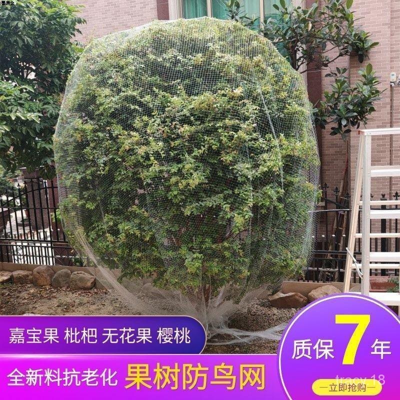 🔥抖音新品🔥新款果樹防鳥罩嘉寶果枇杷櫻桃藍莓果園尼龍防護網菜地陽臺保護罩