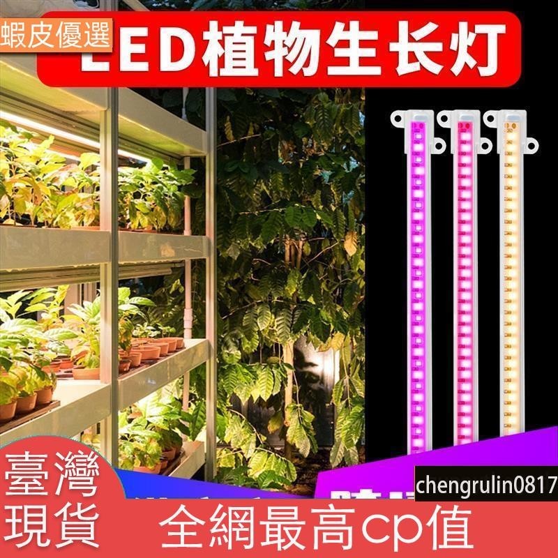 台灣發全光譜LED植物生長燈管USB可調光定時5V室內家用水培植物燈條園藝花卉幼苗植物種植櫥櫃架專用補光燈防水太陽光防