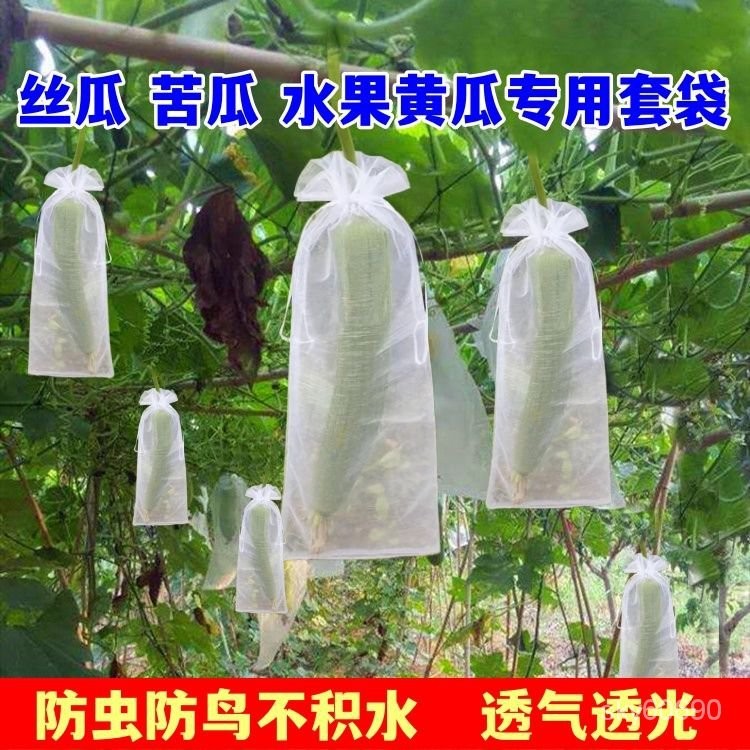 XYG精品🔥苦瓜套袋絲瓜防蟲防鳥袋水果黃瓜保護袋透光透氣加密網紗拉繩網袋