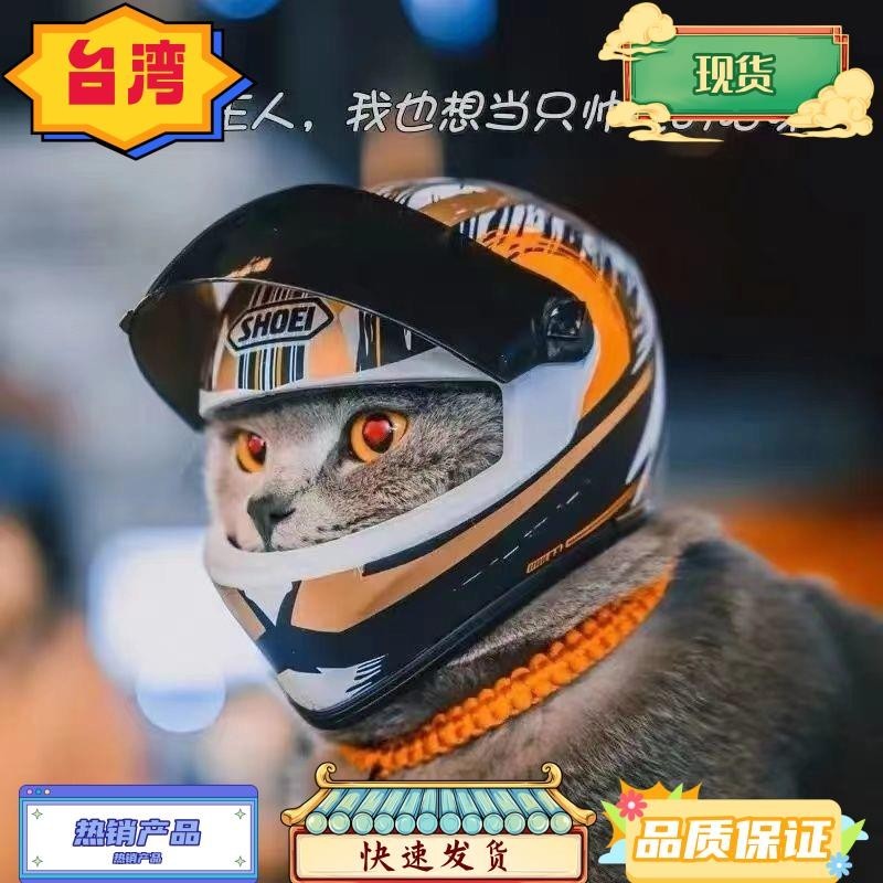 台灣熱銷 機車寵物安全帽 寵物安全頭盔 貓咪機車頭盔 貓咪安全帽 貓咪頭盔 寵物頭盔 寵物帽子 狗狗安全帽 公仔玩具吊