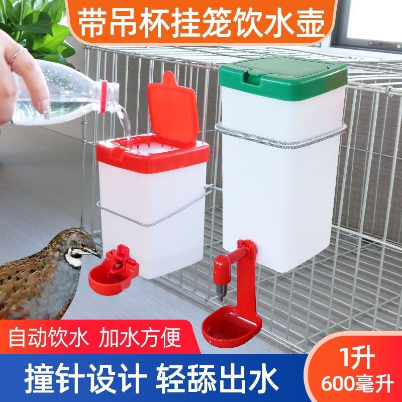 雞用自動吊杯飲水器喂水壺雞水桶養殖水嘴用水槽雞用水碗🔥台灣優品555