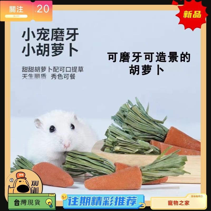台灣熱銷 迷你胡蘿蔔玩具 倉鼠磨牙 田園造景 可愛胡蘿蔔造型玩具 黃金鼠 兔子 天竺鼠 龍貓