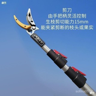 伸縮高空剪高枝剪摘果器果樹枝剪刀摘果剪加長摘果修枝剪樹枝修剪【臺灣發貨】