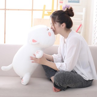 臺灣-出貨💖韓國貓咪公仔 搞怪懶人睡覺抱枕 可愛 超萌 呆萌布娃娃 毛絨玩具 女孩兒童玩偶 辦公室午睡靠枕 車載枕