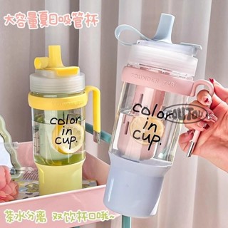 【臺灣寄出】茶水分離 1000ML 吸管 直飲 雙飲 隨行杯 大容量水壺 泡茶水壺 耐高溫 車載把手杯子 水瓶
