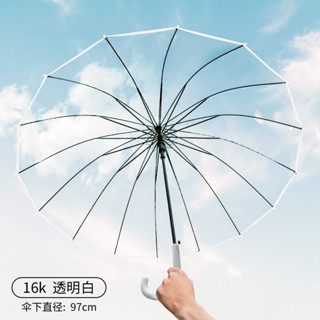 抗風加大純透明雨傘自動長柄傘 辦活動專用傘 道具傘長柄雨傘 ins森系韓版雙人 簡約雨傘 晴雨傘 兩用 長柄 摺疊傘