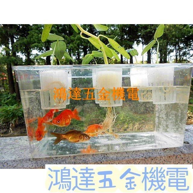 滿290出貨特價送禮物 家庭魚菜共生系統 生態草缸烏龜水族箱 小型透明金魚缸 造景花瓶桌面綠植