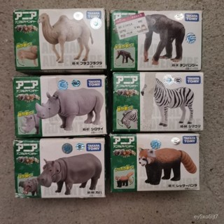 TOMY多美卡安利亞野生動物模型男孩女孩玩具模擬獅子大象熊貓老虎【Kevin潮趣廠】