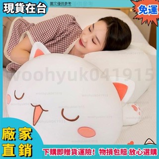 ✨品質保障🔥玩偶抱枕 蜜桃貓 睡覺可拆洗床上 可愛玩偶 佈娃娃 午睡送女生 交換禮物 生日禮物 安撫娃娃玩偶 貓咪公仔