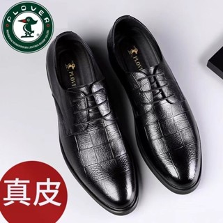 PLOVER 休閒皮鞋 男 真皮 商務 正裝 韓版 系帶 上班 潮鞋