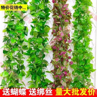 新竹出貨☀模擬綠蘿葡萄壁掛裝飾植物藤條藤蔓 管道裝飾塑膠花假花藤條假樹葉藤