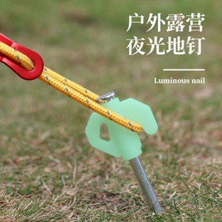 娜美戶外 滿199出貨 戶外帳篷天幕地釘野營露營夜光釘20cm加強帳篷防風釘熒光固定鋼釘