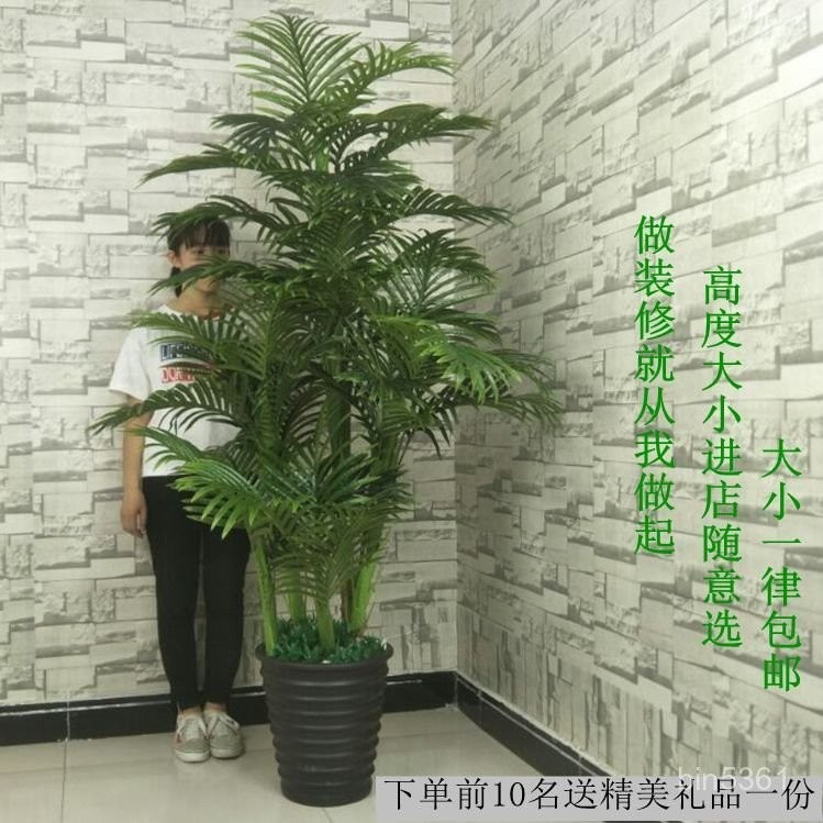 免運  造景  裝飾花 仿真葵樹客廳仿真花落地椰子樹室內綠植散尾葵塑料花植物假樹盆栽 AV01