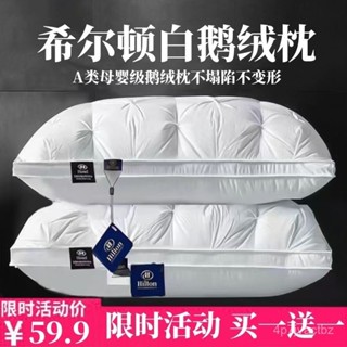 💯【臺灣出貨】💯🔥睡眠科技枕 科技 抗菌 除蟎 枕芯 護頸椎 助眠枕 羽絨枕頭護頸椎助睡眠五星級酒店白鵝絨高檔枕芯一對