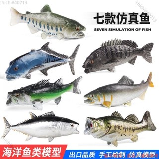 【廠商直銷】實心模擬海洋生物模型金槍魚玩具大嘴鱸魚鯉魚三文魚蘇眉魚擺件ll812