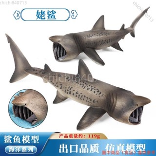 【廠商直銷】姥鯊模型模擬巨齒鯊玩具實心大白鯊海洋生物擺件兒童認知禮物ll812