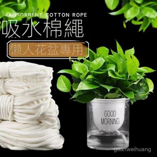 🔥熱賣🔥 吸水棉繩 懶人花盆專用 自動吸水繩 滌棉包芯繩 花盆棉線 掛毯繩子 澆花吸水繩 裝飾 盆栽 園藝