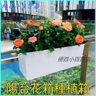 可開發票陽臺花箱種植箱長方形長條欄桿懸掛式自吸水花盆種菜盆種菜專用箱 種菜盆 水泥盆栽 水泥盆 塑膠盆 盆栽容器 花器