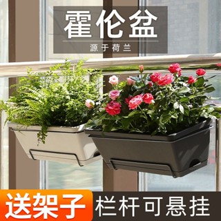 ❤臺灣出貨❤欄杆懸掛花盆長方形花盆種菜盆長條陽臺種菜神器塑料盆霍倫盆架子 MNML