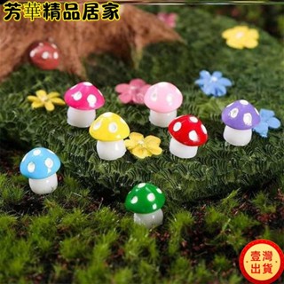 🔥臺灣出貨🔥塑膠花盆 盆栽 花盆裡的裝飾品微景觀小擺件多肉diy造景材料苔蘚迷你配件生態瓶kun1