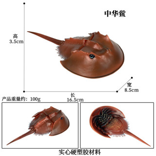 🥂模擬動物🥂兒童模擬實心海洋動物世界模型中華鱟馬蹄蟹美洲鱟魚模型玩具擺件