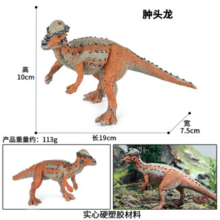 🥂模擬動物🥂模擬侏羅紀恐龍模型電影衕款實心腫頭龍冥河龍霸王龍兒童玩具擺件
