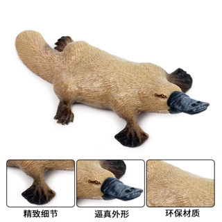 🥂六一禮物🥂兒童認知模擬實心野生動物模型 鴨嘴獸 澳大利亞動物玩具模型擺件