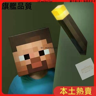 【本土熱銷】Minecraft 麥塊 我的世界 舞會 派對 搞怪 裝扮 道具 紙箱頭套 面具 cosplay 苦力怕 史