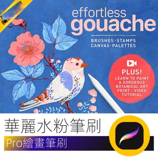 【精品素材】國外時尚華麗水粉繪畫Procreate筆刷 ipad插畫畫筆 附贈畫布+色卡