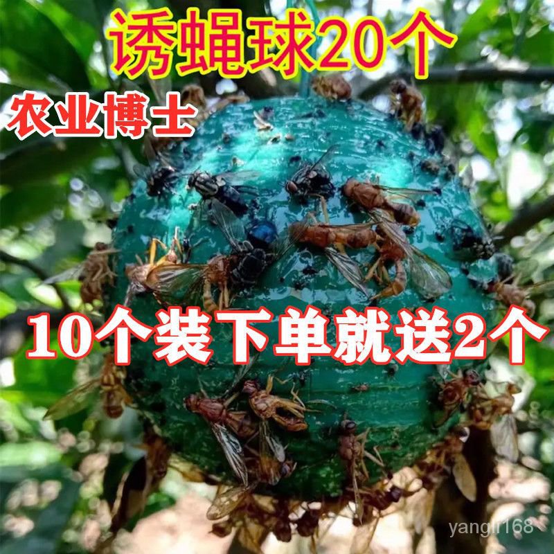 ✨【質保】飛蟲剋星 果園必備 安全無毒 誘蠅球柑橘大小實蠅誘捕球瓜果樹針蜂誘蟲球誘捕器果蠅球粘蟲蠅球