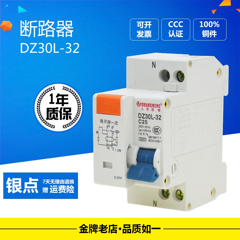 上新DZ30L-32漏電斷路器空氣開關2進2出2P家用保護器220V單相漏保DPN