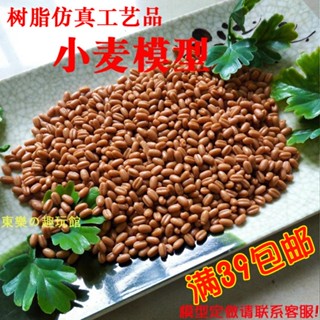臺灣道具🥣🥣模擬小麥模型模擬食品模型展示配件模擬雜糧模型