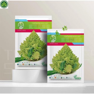 🌱寶塔菜種子寶塔花椰菜種子寶塔花菜四季高産菜花籽春季農傢蔬菜子 種子 種籽【green園藝花坊】
