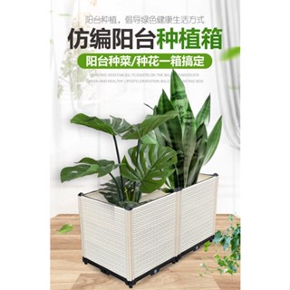 【免運】50寬種菜盆傢庭環保蔬菜種植箱陽臺花盆花箱花槽花架塑膠園藝裝置